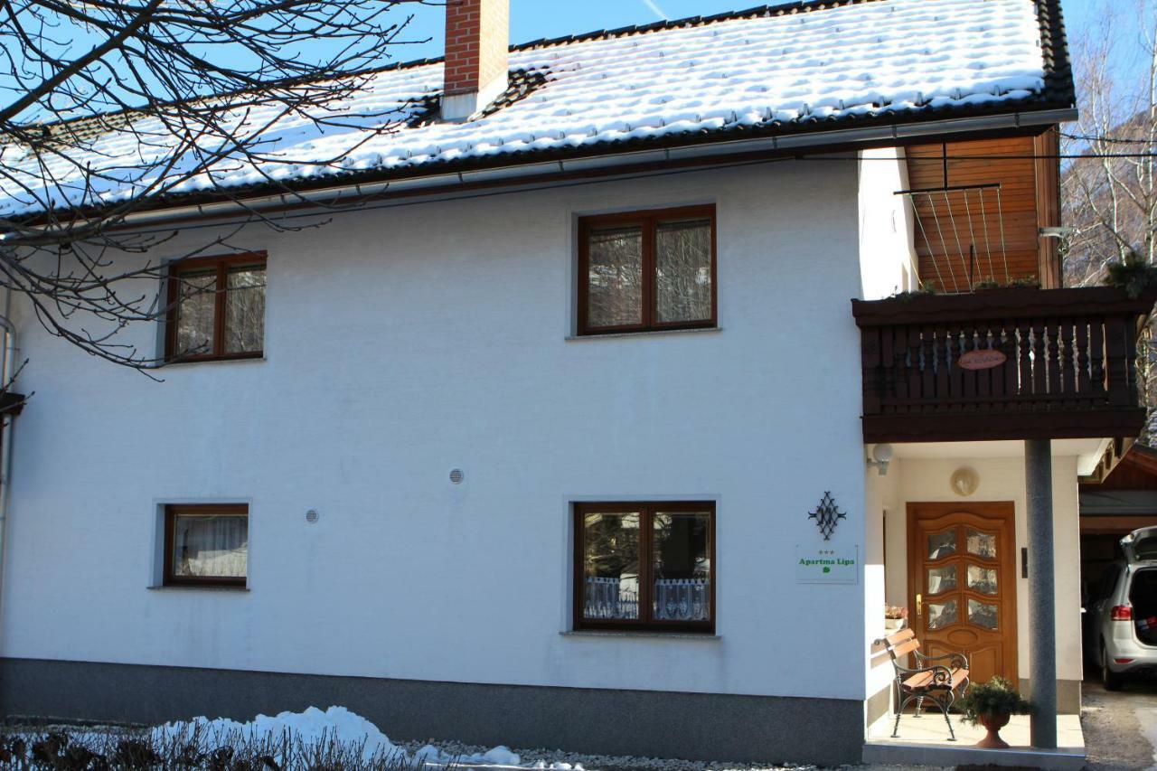 Apartma Lipa Мойстрана Экстерьер фото